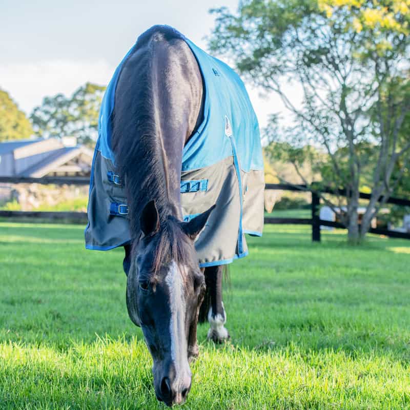 Shop Horse Rugs Stable, Seasonal & Show Rugs Saddleworld Dural