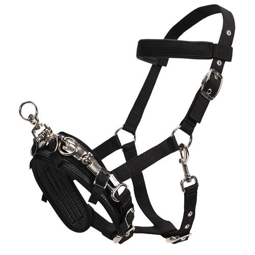 The Essential Guide for Lunging with a Cavesson - Horse Pilates The Essential Guide for Lunging with a Cavesson - Horse Pilates