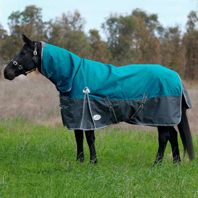 Image of a horse wearing the brand new Eurohunter Thread Combo (rug with detachable neck) in Harbour Blue colour. Available to purchase online from Saddleworld Dural.