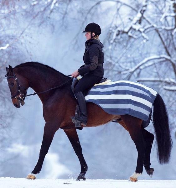 Horseware Rambo Fleece Competition Sheet Saddleworld Dural