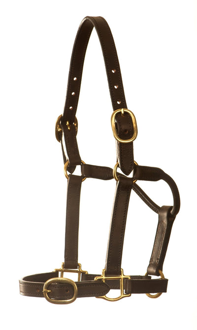 YR200 Yearling horse halter manufactured in Australia under Saddleworld Dural's Good As Gold thoroughbred horse racing equipment collection.