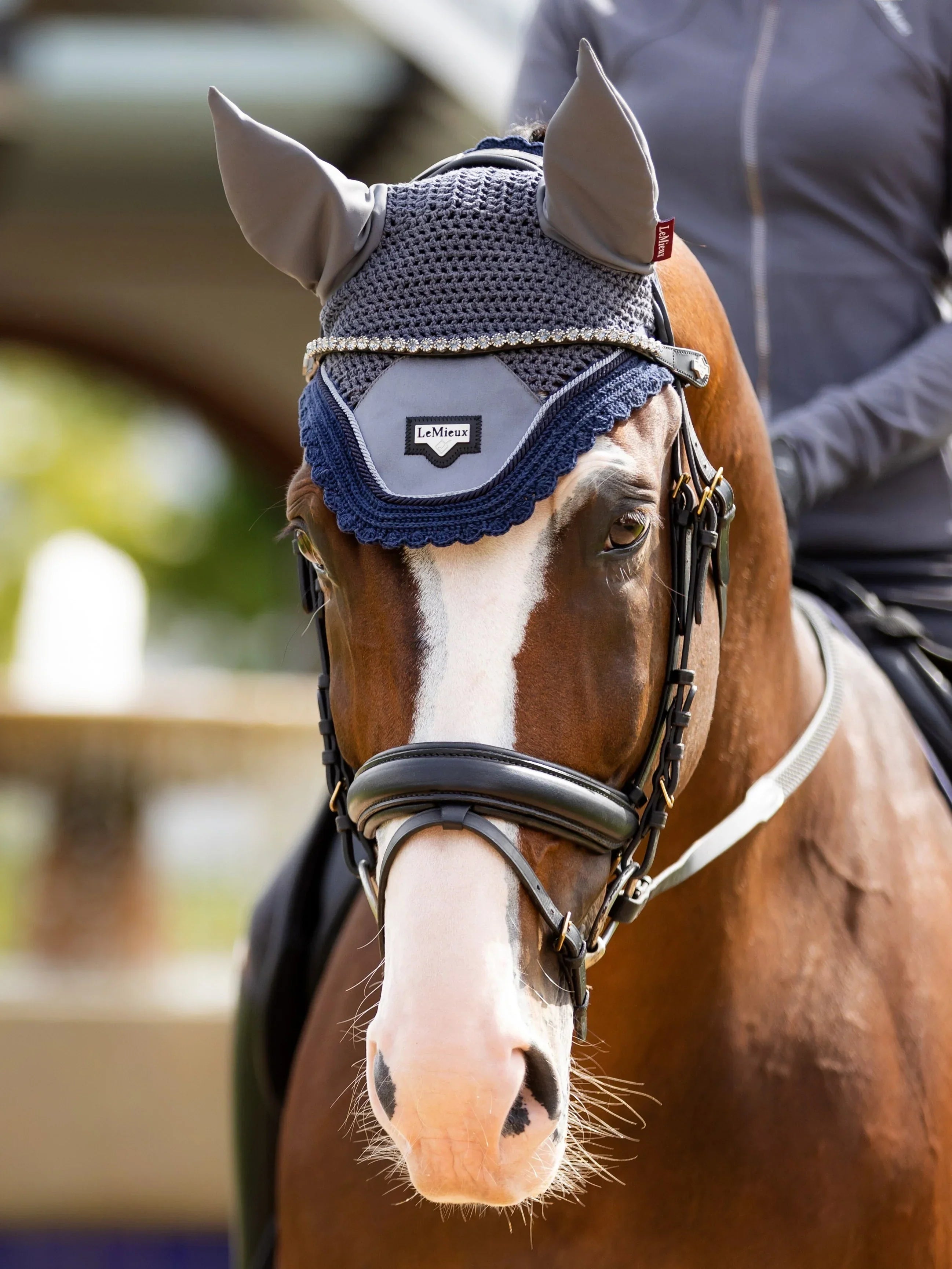 LeMieux Classic Browband Black Leather Twilight Saddleworld Dural