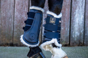 Horse Boots for Protection, Comfort, and Everyday Equine Care