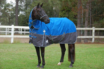 Horse Rugs Australia