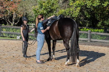 Horse Saddles for Sale Australia Guide to Choosing the Right Saddle