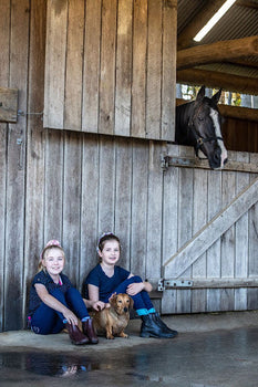 Organising Your Stable for Calm and Efficient Care