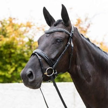 How to Know When Your Horse Bridle Needs Replacing