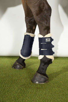 Protecting Your Horse’s Legs: A Complete Guide to Boots and Support