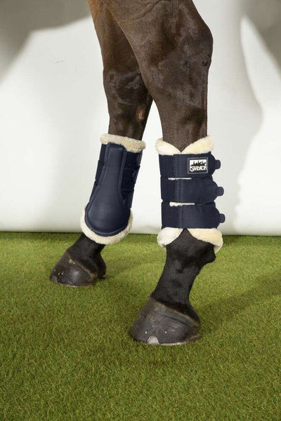 Protecting Your Horse’s Legs: A Complete Guide to Boots and Support