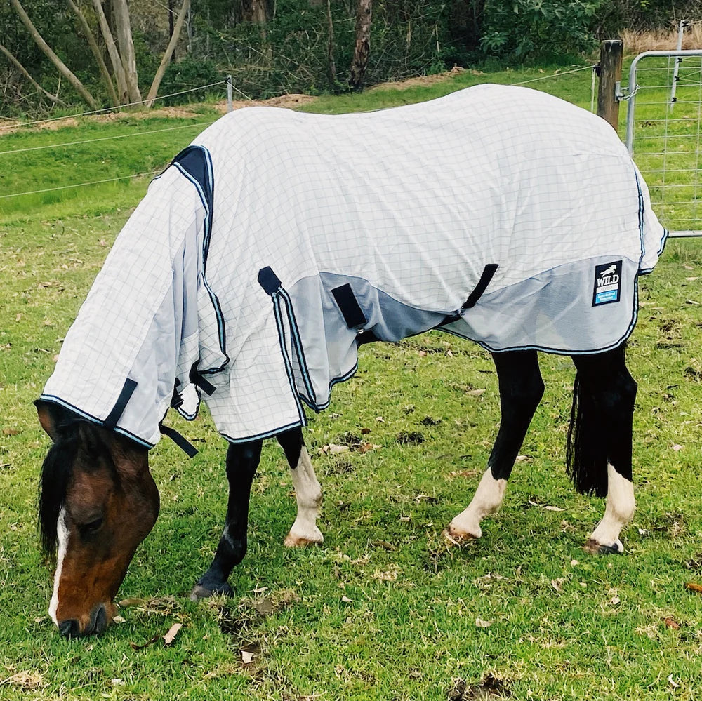 horse wearing itch resistant, fly repelling rug