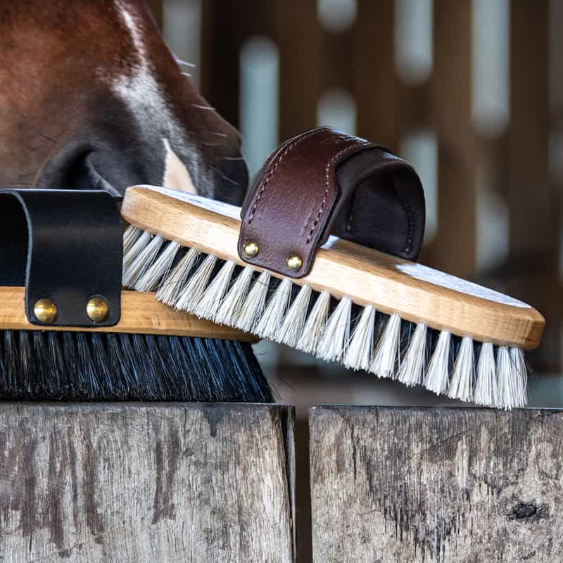 Shop Horse Grooming Products Saddleworld Dural