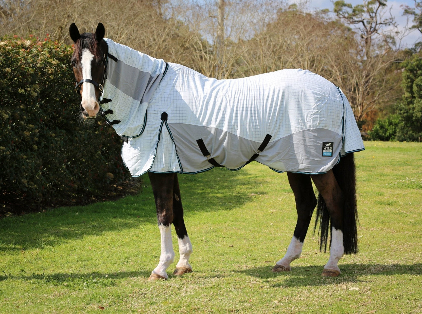 Horse Health: Fly Repellent Rugs