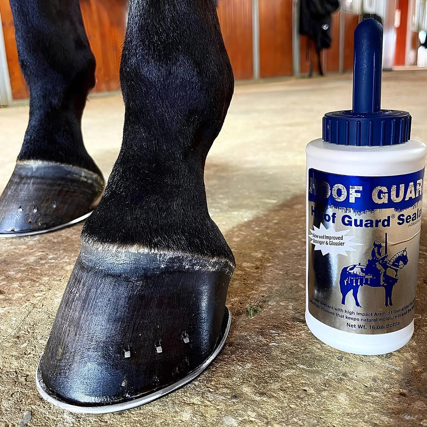 Horse Health: Hoof Care