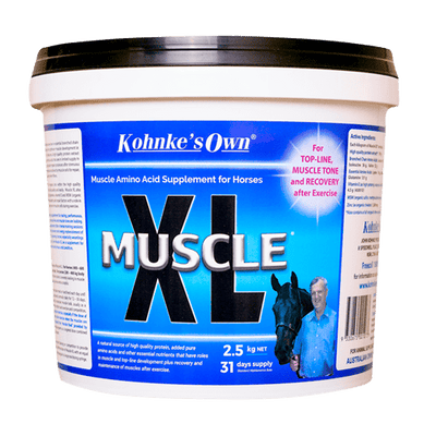 Supplements: Muscle