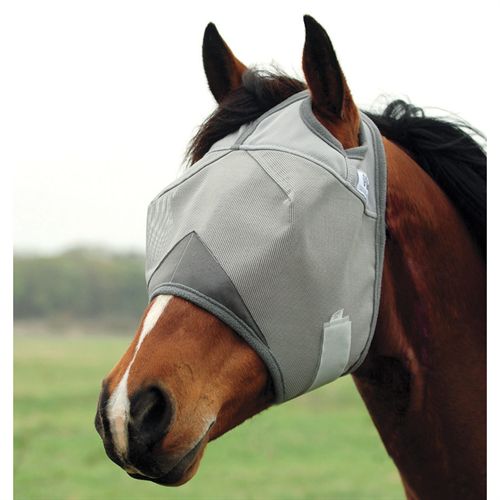 Horse Health: Fly Masks and Boots