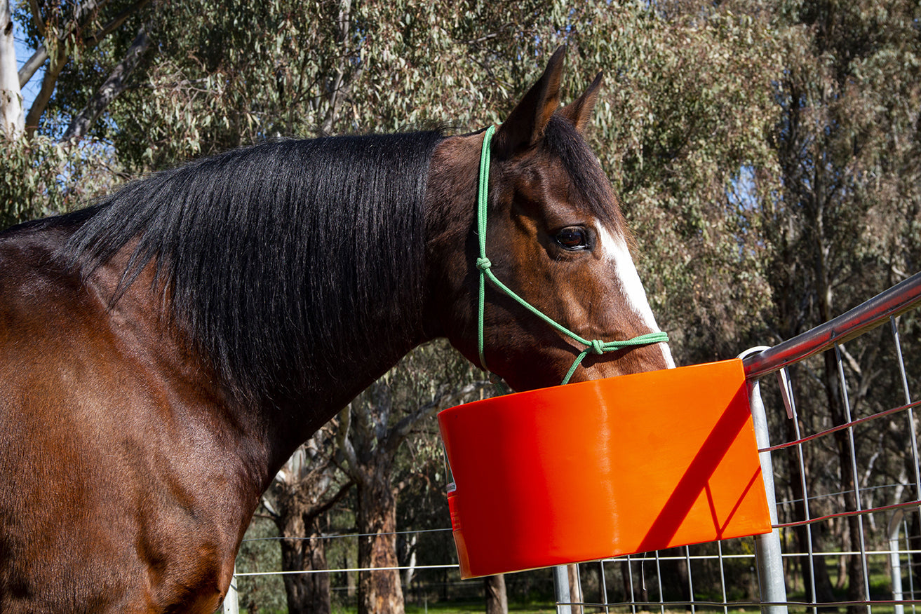 Stable Equipment: Feed and Water