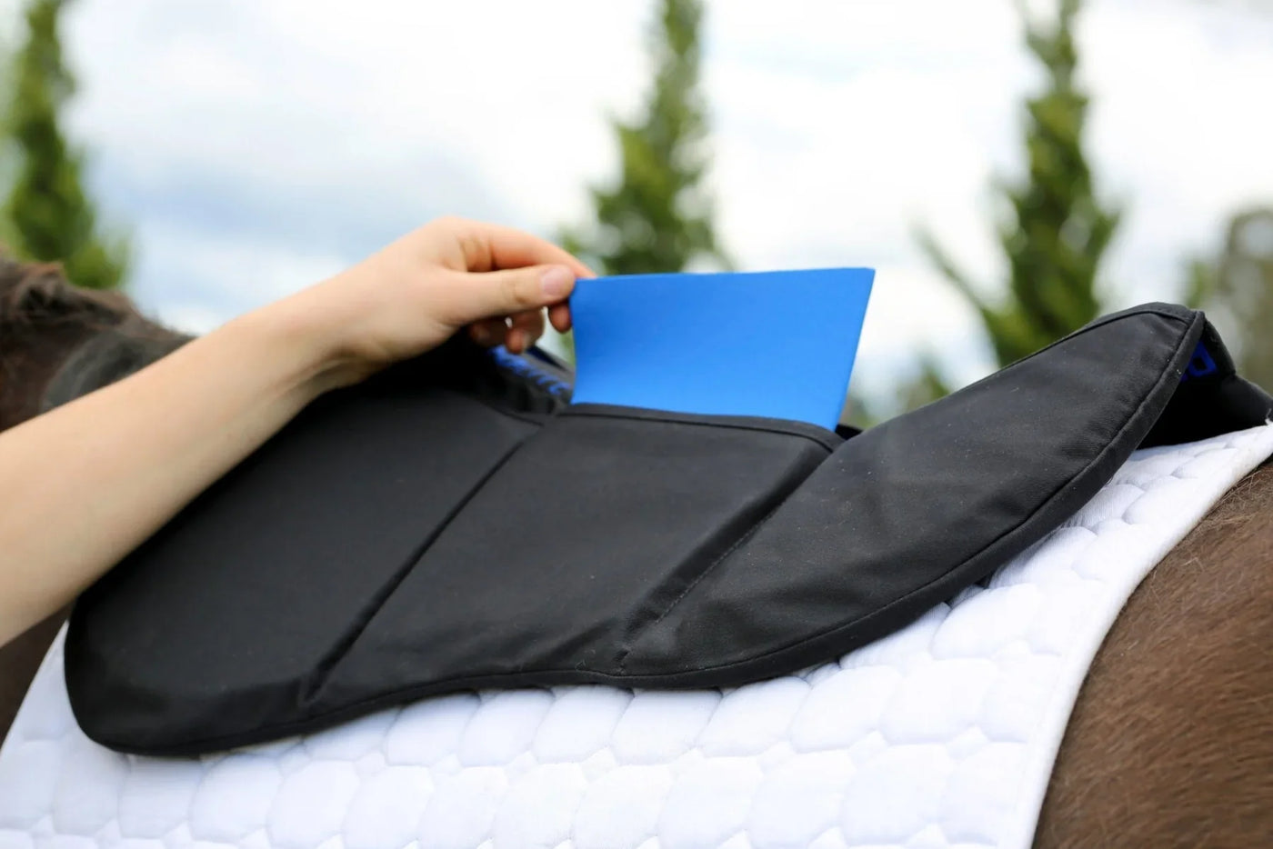 Saddle Pads: Pads