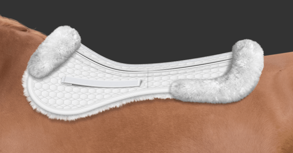 Saddle Pads: Numnahs