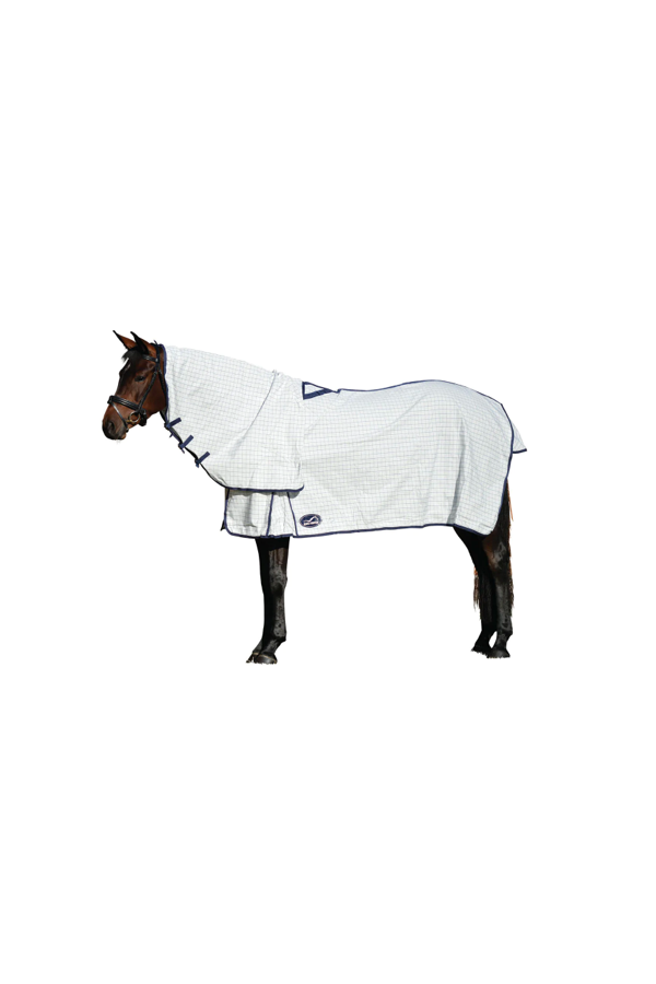 Image of a horse wearing a summer rug.