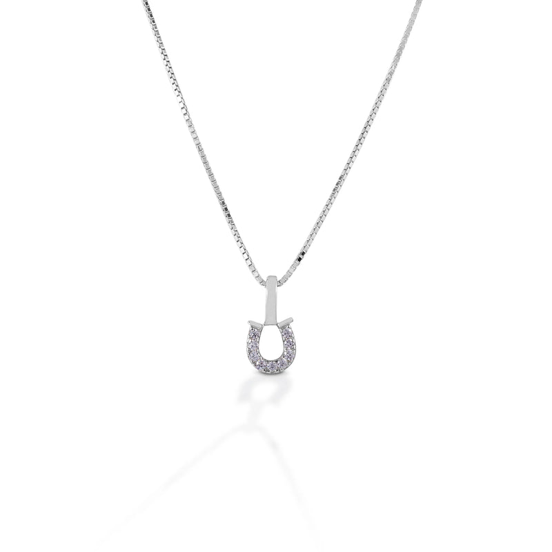 Kelly Herd Clear Horseshoe Necklace