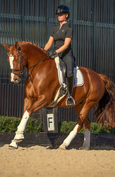 BARE Sculpt Hybrid Riding Breeches