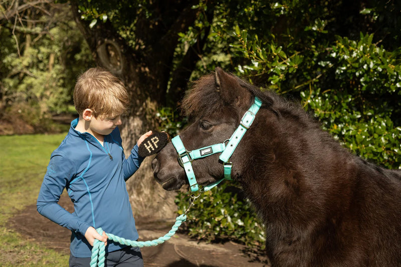 Hairy Pony Kids Brush Kit