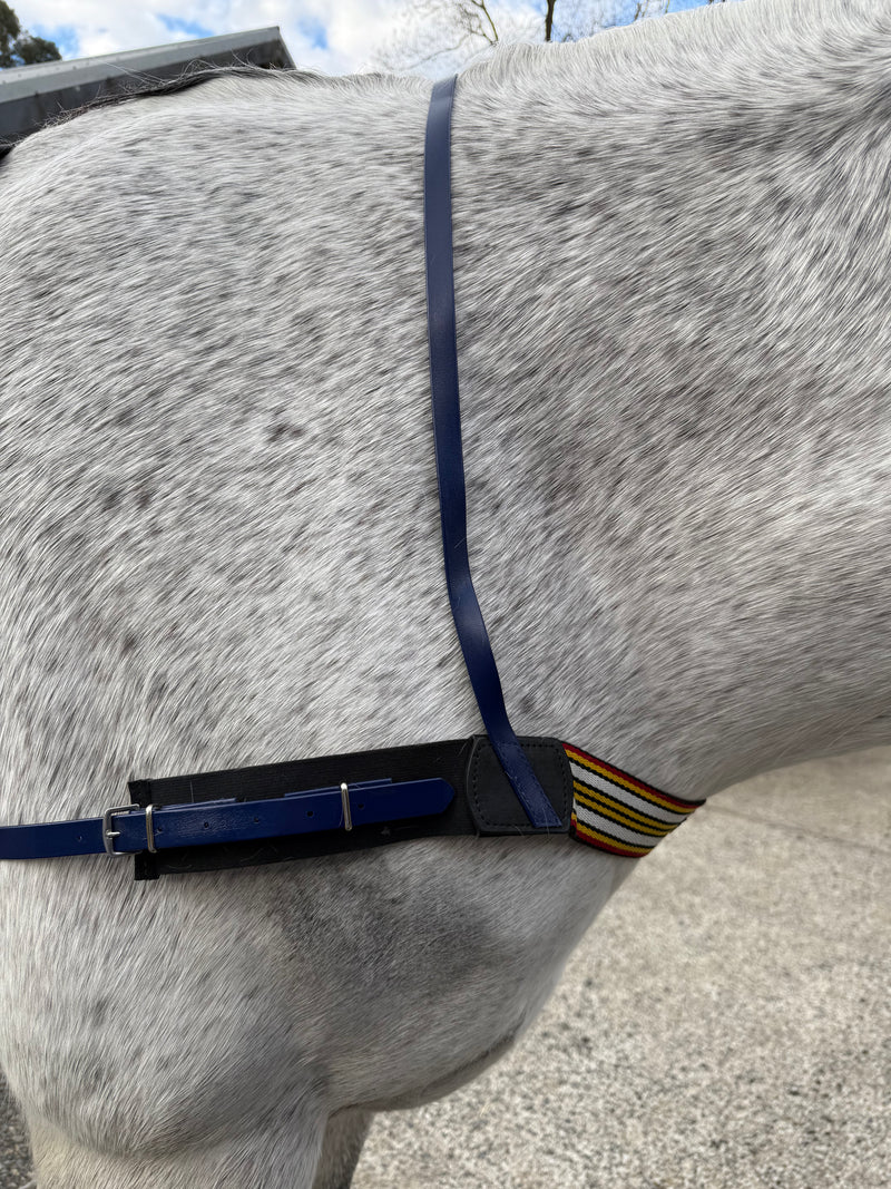 Good As Gold PVC Exercise Breastplate