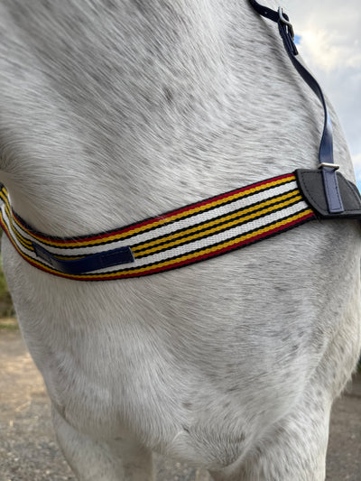 Good As Gold PVC Exercise Breastplate