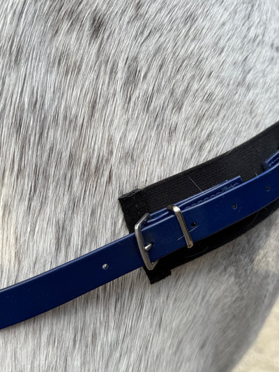 Good As Gold PVC Exercise Breastplate