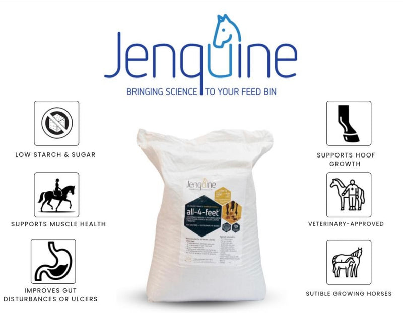 Jenquine All-4-Feet