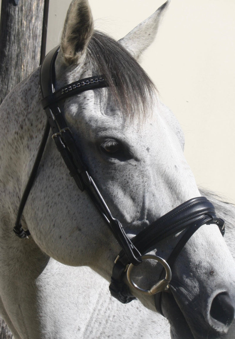 English Leather Hanoverian Bridle