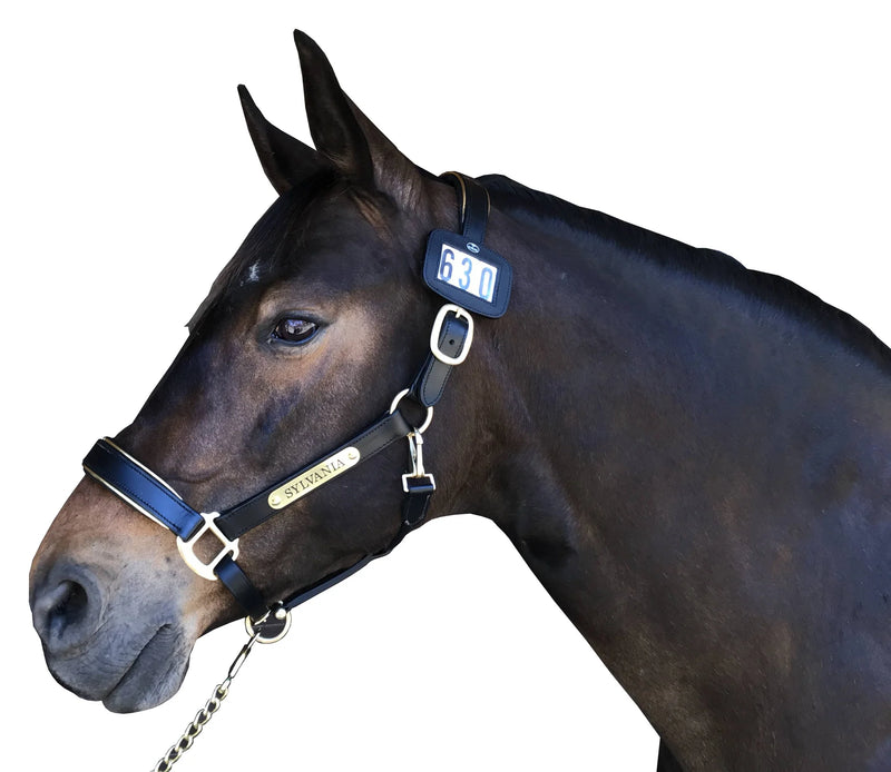 Hamag Leather Halter Number Holders