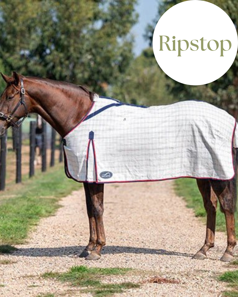 Eurohunter Brisa Rug