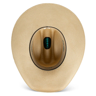 Charlie 1 Horse Lainey Wilson Straw Atta Girl Shantung