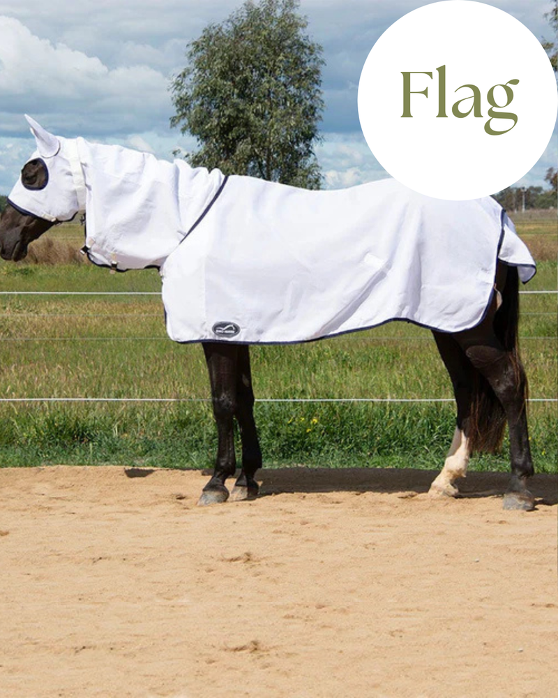 Eurohunter Flag Protect