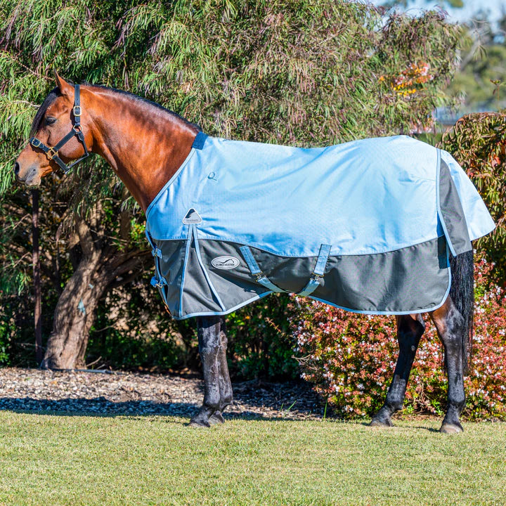 Clearance Eurohunter Hotham Rug