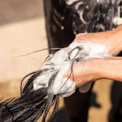 Hairy Pony Natural Horse Shampoo - Kakadu Plum