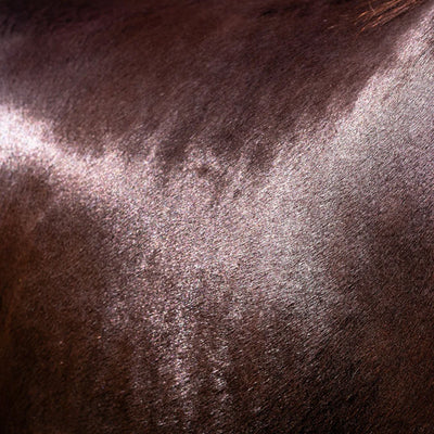 Hairy Pony Natural Horse Shampoo - Kakadu Plum