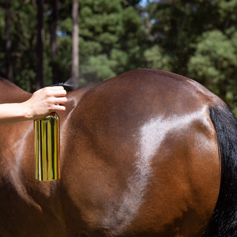 Hairy Pony Pre-Mixed Essential Oil Coat Conditioner