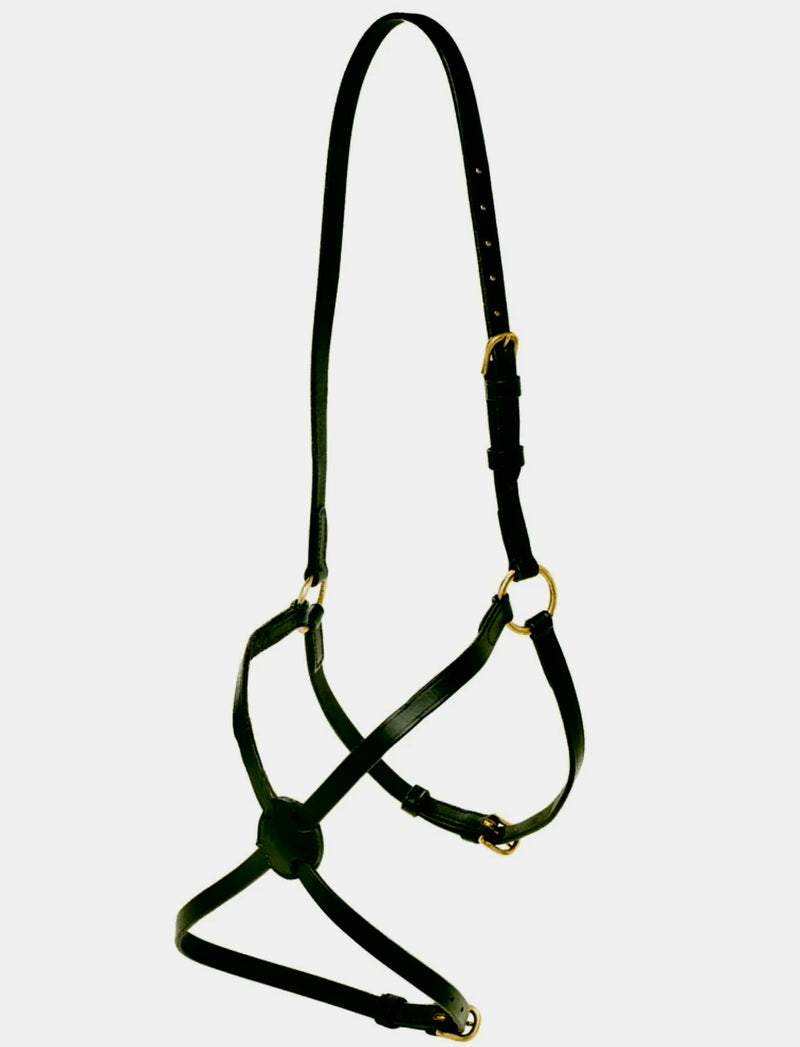 Jeremy & Lord Grackle Noseband