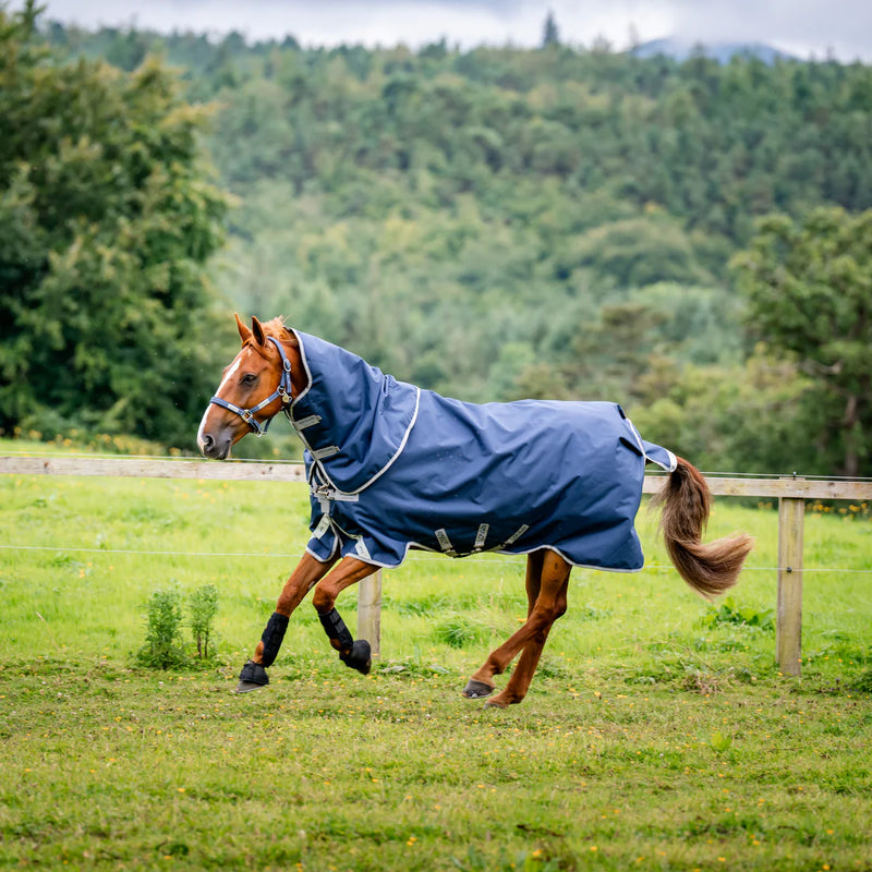 Horseware Ireland Amigo Bravo 12 Plus Medium 1200D 250g