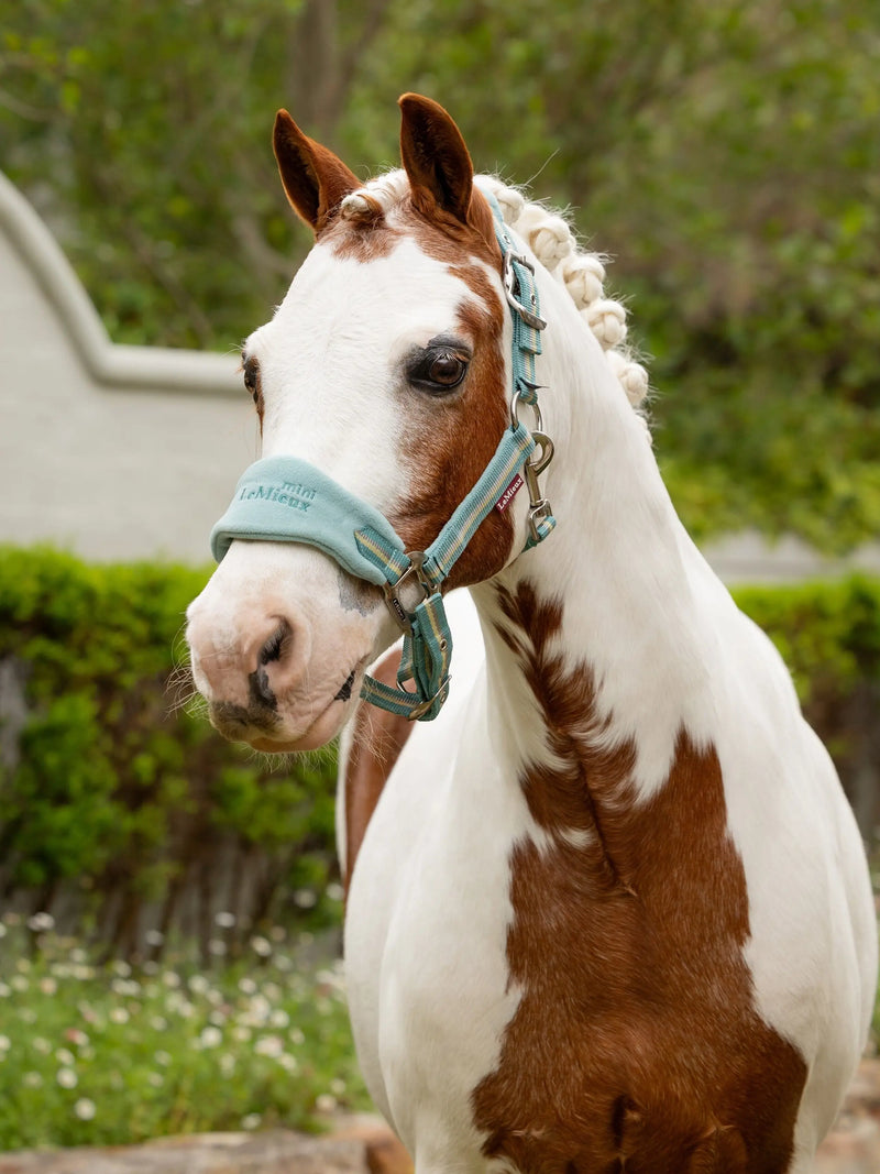 LeMieux Mini Vogue Headcollar & Leadrope