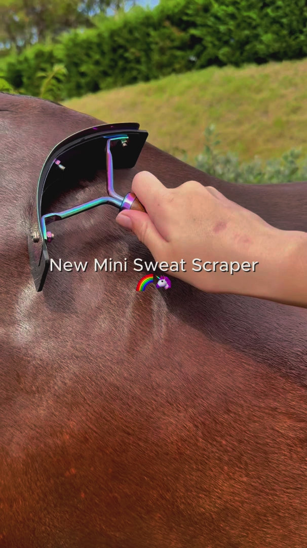 Hairy Pony Rainbow Mini Sweat Scraper