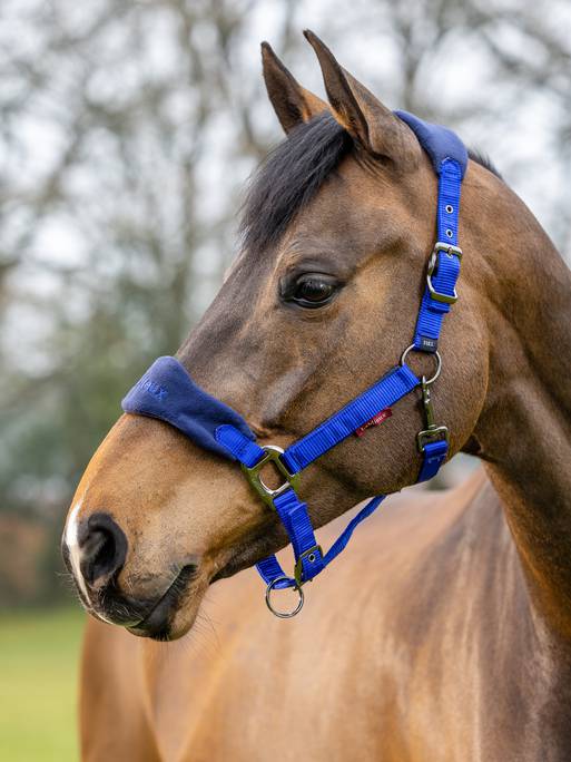 LeMieux Vogue Headcollar & Leadrope