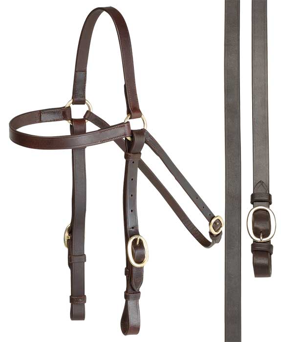 Aintree Barcoo Bridle 20mm + Reins