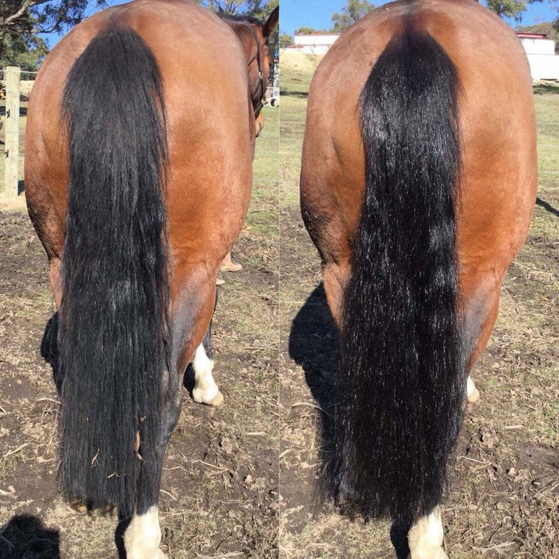 Hairy Pony 2 in 1 Detangle & Shine Spray