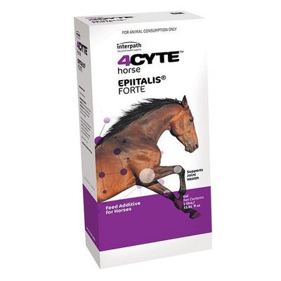 Enhance equine joint health with 4Cyte Eppitalis Forte gel, a feed additive for high-performance horses.
