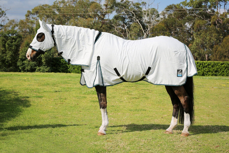 Wild Horse Insect Control Ripstop Rug + Hood