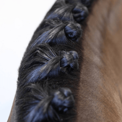 Example of a plaited horse mane created with help from the Hairy Pony Mane Sectioning Comb.