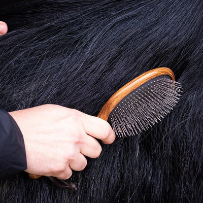 Hairy Pony Mane & Tail Brush